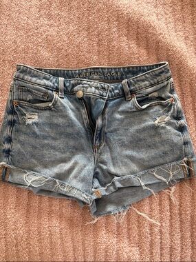 American Eagle Outfitters Light Blue Distressed Jean Shorts
